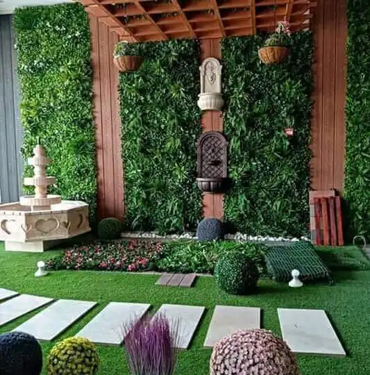 العشب الجداري