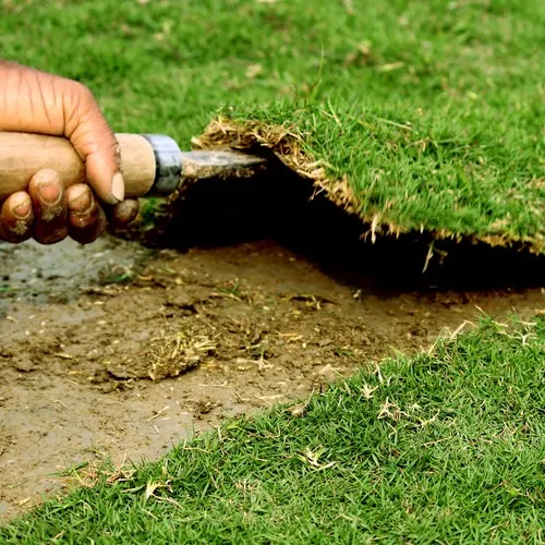 الثيل الطبيعي